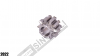 Spur Gear