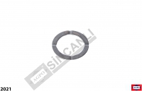 ŞANZIMAN DİŞLİ PULU