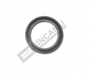 YAVRU ŞANZIMAN KEÇESİ