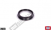 Oil Seal