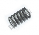Valve Spring
