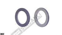 Sealing Ring 70x100x9