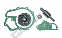 Water Pump Repair Kit