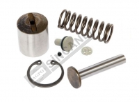 ŞANZIMAN POMPA VALF TAKIMI