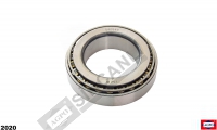 Rear Axle Bearing