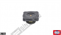 Radiator Cap