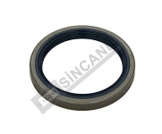 ÖN AKS PORYA KEÇESİ