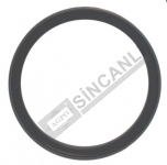 Hub Oil Seal 