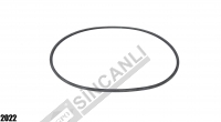ŞANZIMAN DİŞLİ ORİNG