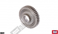 Gear Z:43