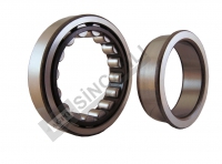 ŞANZIMAN POMPA RULMANI