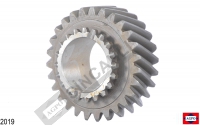 Gear 4-8 Z27