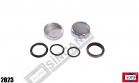 Brake Seal Repair Kit w/Plugs