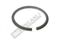 Snap Ring