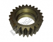 Planetary Gear