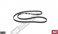 Fan Belt