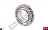 Gear-Balancer