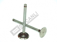 Exhaust Valve (Ex)