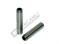 SUPAP GAYDI (YUVASI) IN-EX