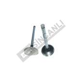 Inlet Valve