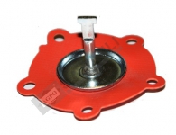 Diaphragm-Fuel Pump