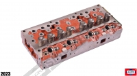 Cylinder Head w/Valves Ad4.203 Engine