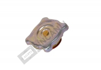 Cap-Radiators (Oem) 