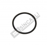 O-Ring
