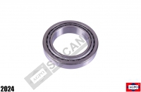 DİFERANSİYEL BİLYASI YM. 29685/620