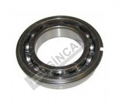 Bearing-Pto Shaft 6009 2Nr