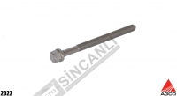 Cylinder Head Bolt 