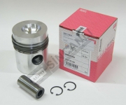 Piston & Ring Set 