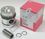 Piston & Pin W/Ring Set 