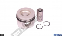 Kit, Piston/Ring Std 101 Mm 