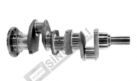 Crank Shaft Forging (Rope Seal) W/O Bearing