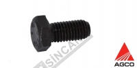 Hex Cap Screw 
