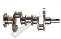 Crank Shaft Forging (Rope Seal) W/Weight