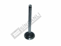 Exhaust Valve