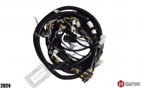 Cabin Wiring Harness