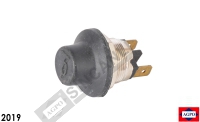 Push Button Switch (Plst)