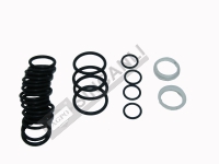 O-Ring Kit-Link Valve