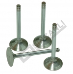 Inlet Valve Std Turbo
