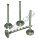 Exhaust Valve