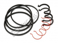 Tandem Pump Repair Kit (Bosh Type)