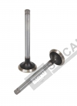Exhaust Valve
