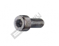 Hex Cap Screw 