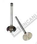 Valve Exhaust
