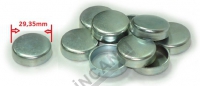 Plug 29,35 Mm