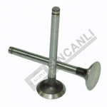 Inlet Valve 0.03