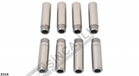 Valve Guide In & Ex Set (8.Qty)